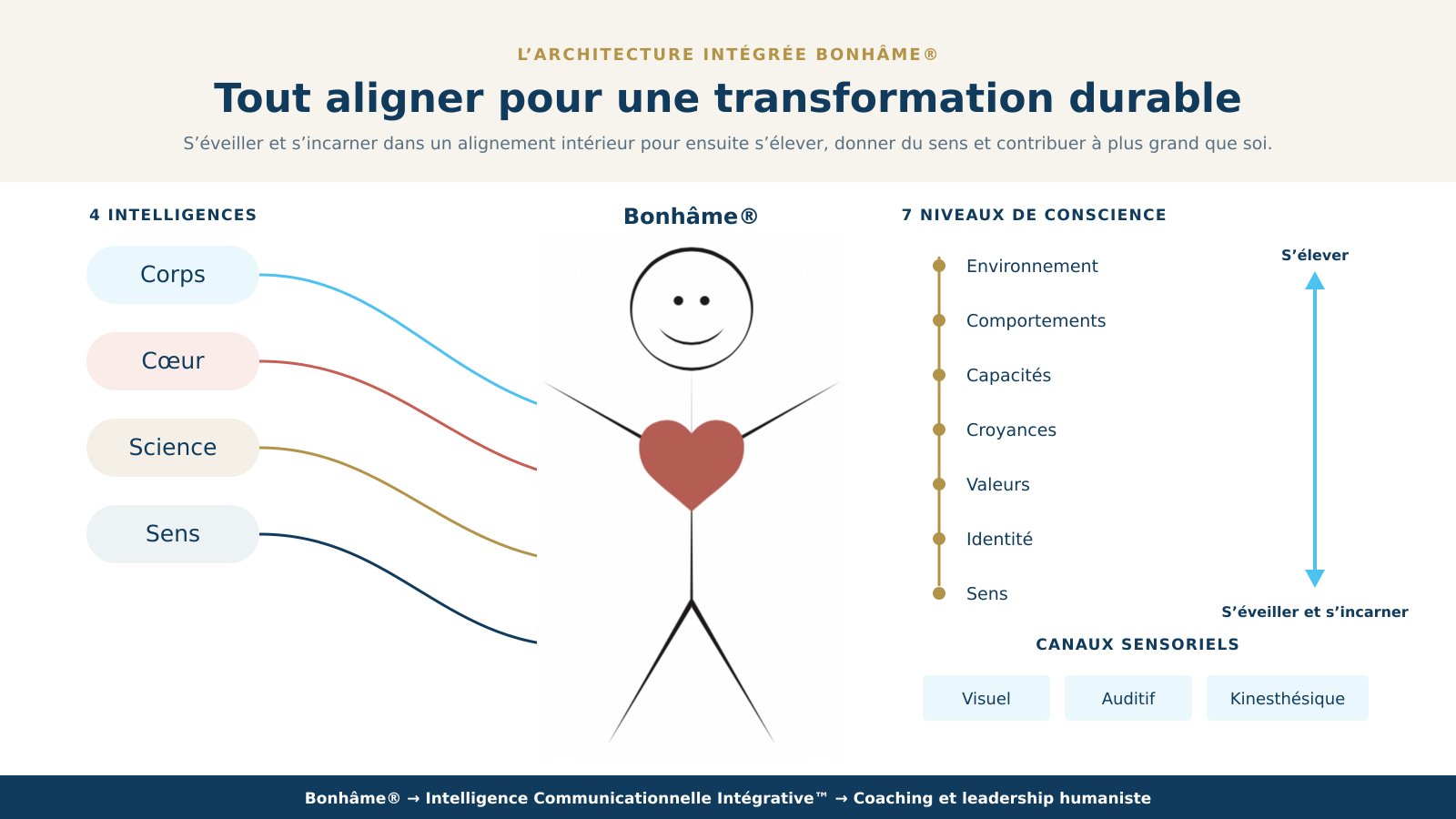 L’architecture intégrée Bonhâme® : 4 intelligences, 7 niveaux de conscience et canaux sensoriels